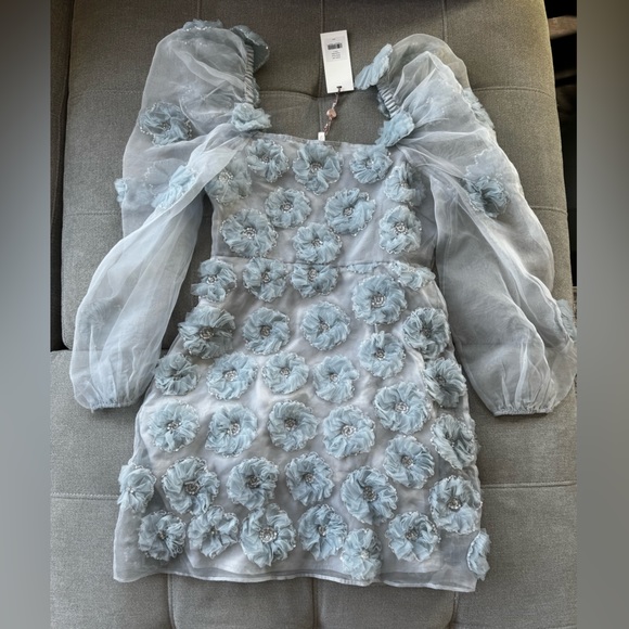 NWT LOVESHACKFANCY Wells appliquéd organza mini dress in blue size 4 - Picture 9 of 12